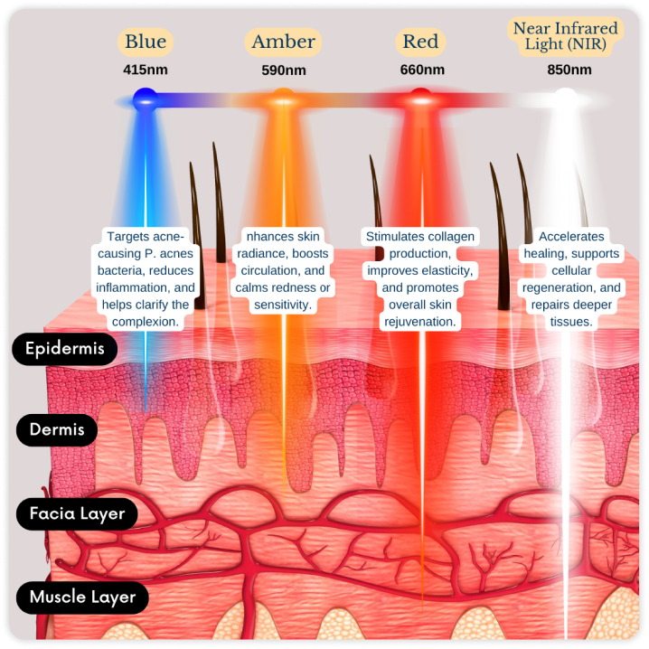 Clinically proven LED wavelengths: blue 415nm, amber 590nm, red 660nm and near infrared 850nm